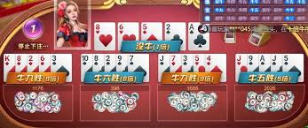 开云娱乐｜电竞赛事+棋牌竞技双重乐趣